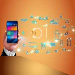 Your IoT Devices might be at Risk! But How?
